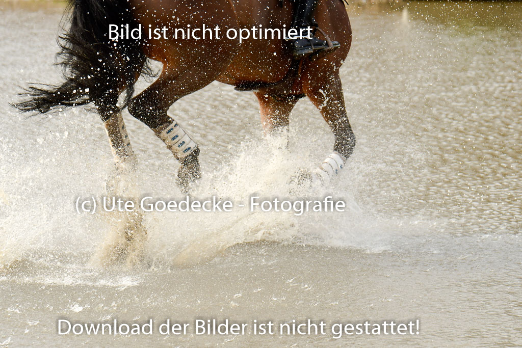 Luhmühlen GLP L 29.3.2023 | 29032023 GLP L_477 