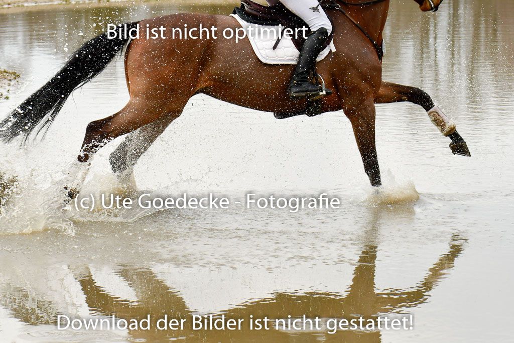 Luhmühlen GLP L 29.3.2023 | 29032023 GLP L_496 