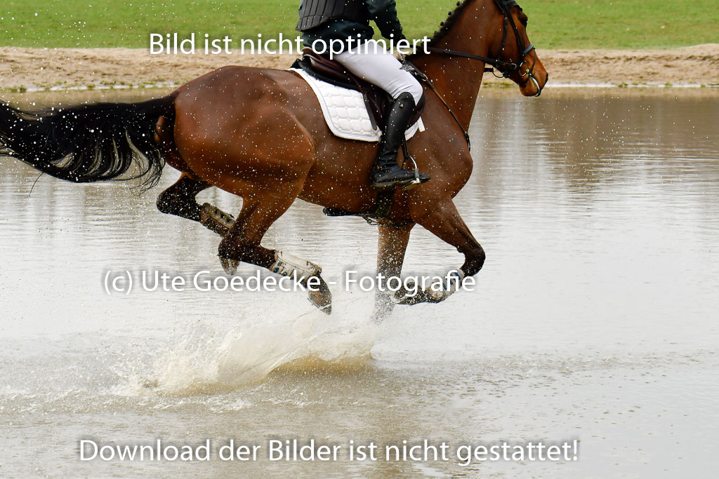 Luhmühlen GLP L 29.3.2023 | 29032023 GLP L_497 