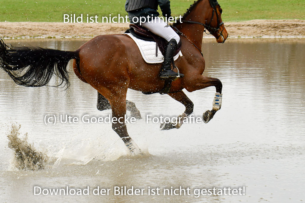 Luhmühlen GLP L 29.3.2023 | 29032023 GLP L_498 