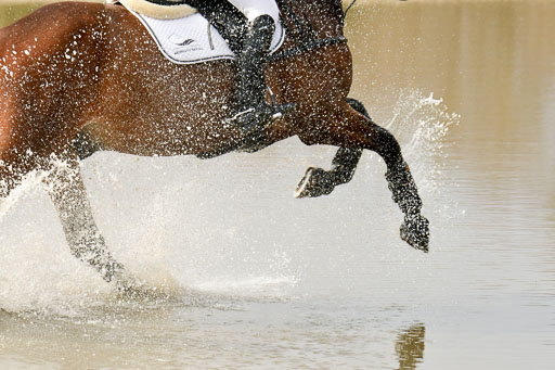 Luhmühlen GLP L 29.3.2023 | 29032023 GLP L_436 