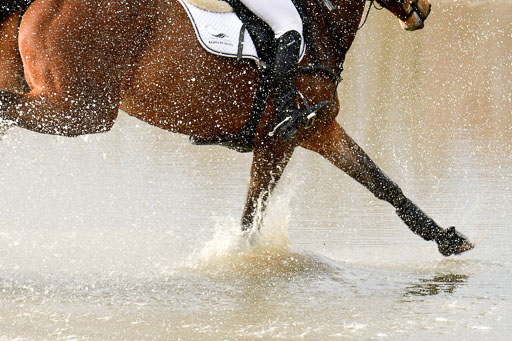 Luhmühlen GLP L 29.3.2023 | 29032023 GLP L_437 