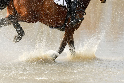 Luhmühlen GLP L 29.3.2023 | 29032023 GLP L_438 