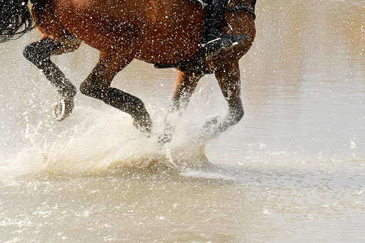 Luhmühlen GLP L 29.3.2023 | 29032023 GLP L_439 