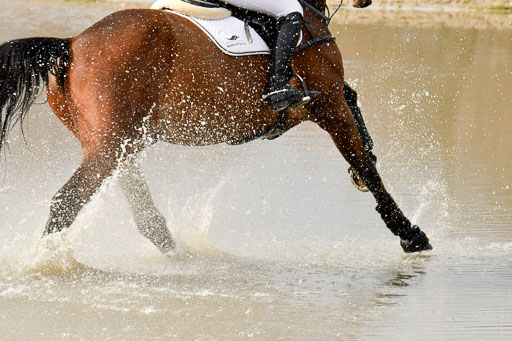 Luhmühlen GLP L 29.3.2023 | 29032023 GLP L_440 