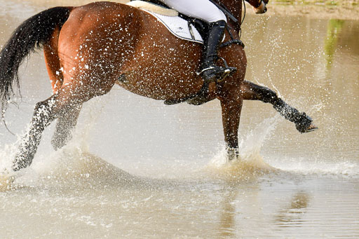 Luhmühlen GLP L 29.3.2023 | 29032023 GLP L_441 