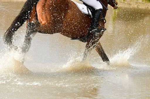 Luhmühlen GLP L 29.3.2023 | 29032023 GLP L_442 