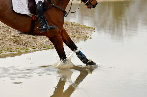 Luhmühlen GLP L 29.3.2023 | 29032023 GLP L_451 