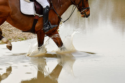 Luhmühlen GLP L 29.3.2023 | 29032023 GLP L_452 