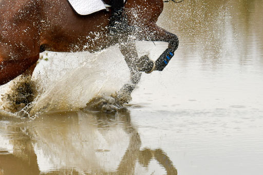 Luhmühlen GLP L 29.3.2023 | 29032023 GLP L_453 