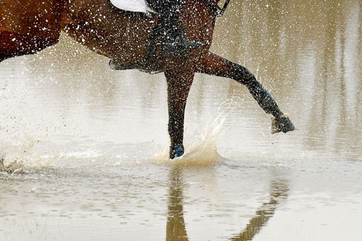 Luhmühlen GLP L 29.3.2023 | 29032023 GLP L_454 