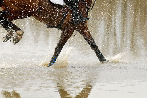 Luhmühlen GLP L 29.3.2023 | 29032023 GLP L_455 