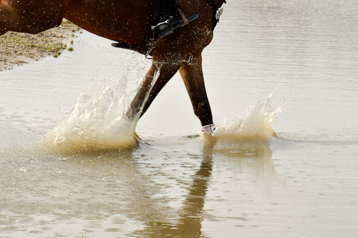 Luhmühlen GLP L 29.3.2023 | 29032023 GLP L_471 