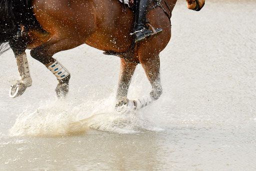 Luhmühlen GLP L 29.3.2023 | 29032023 GLP L_472 