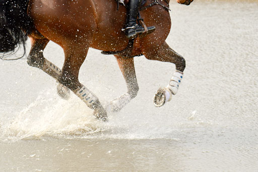 Luhmühlen GLP L 29.3.2023 | 29032023 GLP L_473 