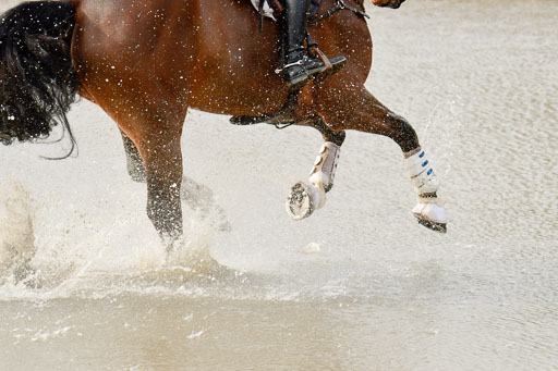 Luhmühlen GLP L 29.3.2023 | 29032023 GLP L_474 