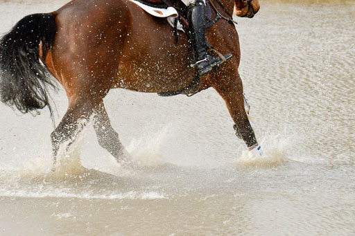 Luhmühlen GLP L 29.3.2023 | 29032023 GLP L_475 