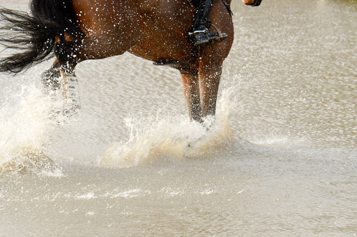 Luhmühlen GLP L 29.3.2023 | 29032023 GLP L_476 