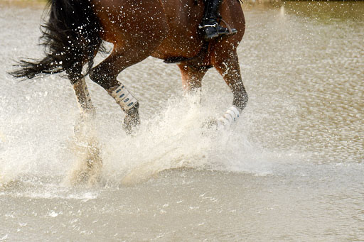 Luhmühlen GLP L 29.3.2023 | 29032023 GLP L_477 