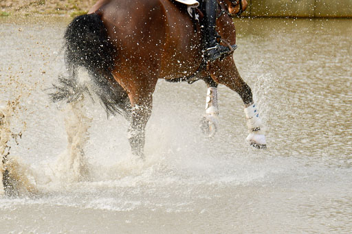 Luhmühlen GLP L 29.3.2023 | 29032023 GLP L_478 