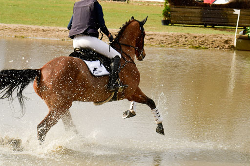 Luhmühlen GLP L 29.3.2023 | 29032023 GLP L_487 