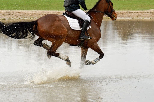 Luhmühlen GLP L 29.3.2023 | 29032023 GLP L_497 