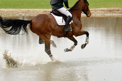 Luhmühlen GLP L 29.3.2023 | 29032023 GLP L_498 