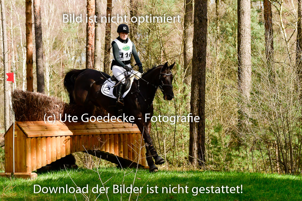 Luhmühlen CCI 26.3.2023 | 26032023 - XC CCI3+ _110