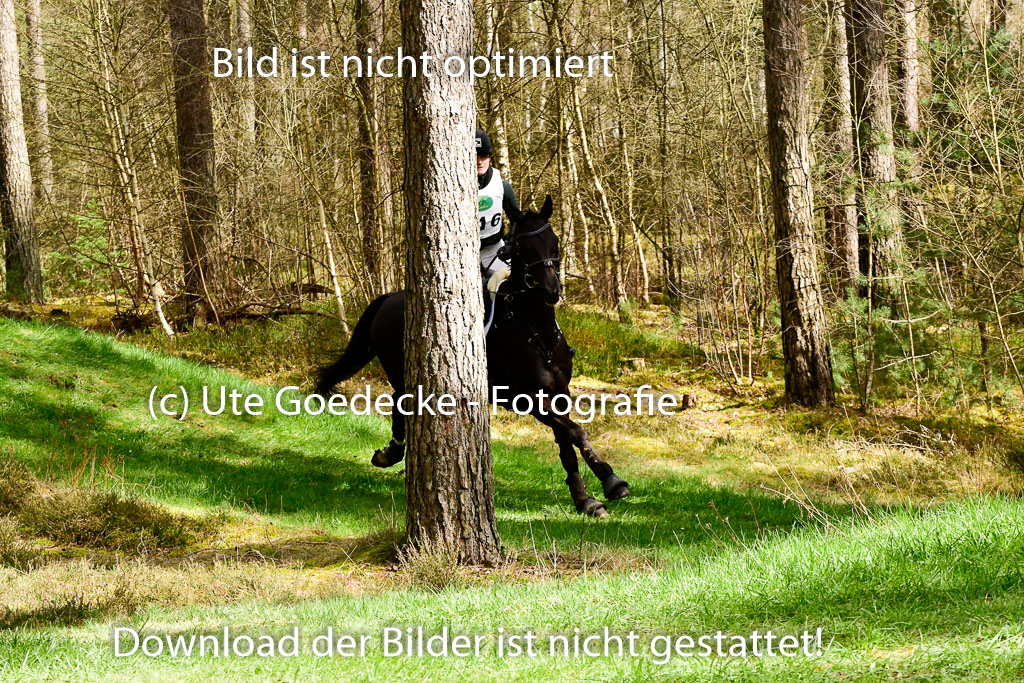 Luhmühlen CCI 26.3.2023 | 26032023 - XC CCI3+ _111