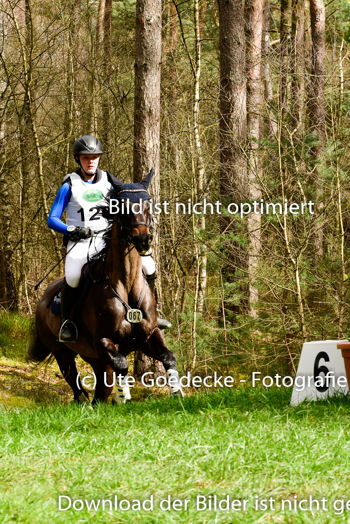Luhmühlen CCI 26.3.2023 | 26032023 - XC CCI3+ _145