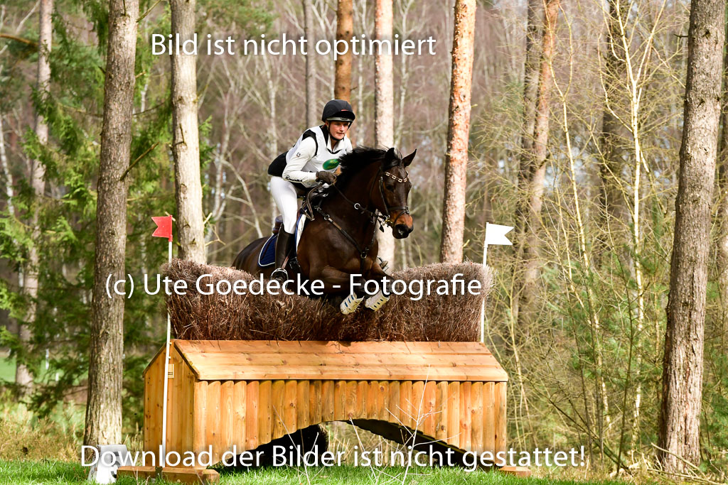 Luhmühlen CCI 26.3.2023 | 26032023 - XC CCI3+ _176