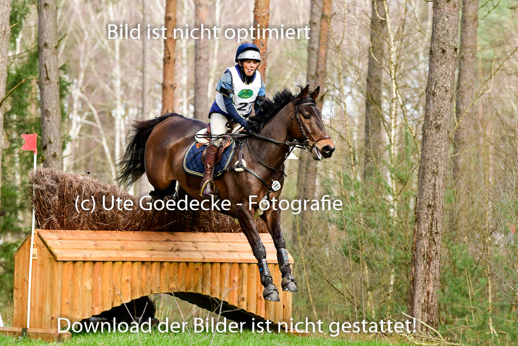 Luhmühlen CCI  26.3.2023 | 26032023 - XC  CCI3+ _219 