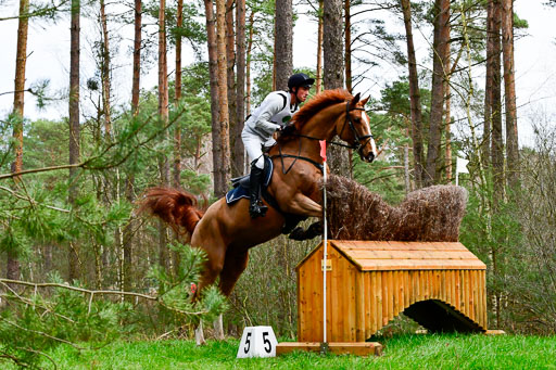 Luhmühlen CCI  26.3.2023 | 26032023 - XC  CCI3+ _019 