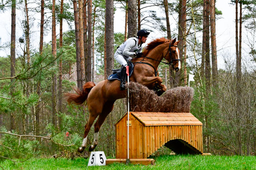 Luhmühlen CCI  26.3.2023 | 26032023 - XC  CCI3+ _020 