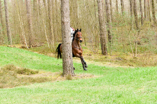 Luhmühlen CCI  26.3.2023 | 26032023 - XC  CCI3+ _054 