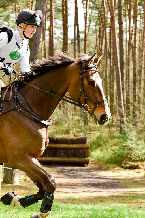 Luhmühlen CCI  26.3.2023 | 26032023 - XC  CCI3+ _097 