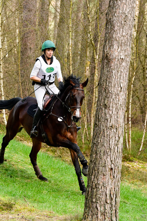 Luhmühlen CCI  26.3.2023 | 26032023 - XC  CCI3+ _120 