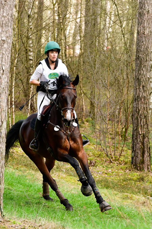 Luhmühlen CCI  26.3.2023 | 26032023 - XC  CCI3+ _121 