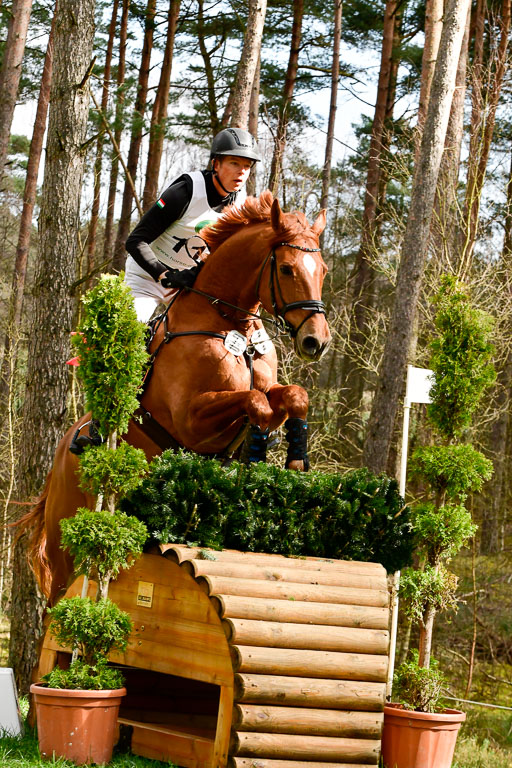 Luhmühlen CCI  26.3.2023 | 26032023 - XC  CCI3+ _130 