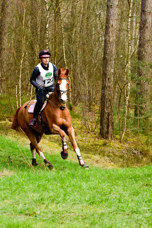 Luhmühlen CCI  26.3.2023 | 26032023 - XC  CCI3+ _167 