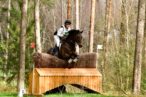 Luhmühlen CCI  26.3.2023 | 26032023 - XC  CCI3+ _176 