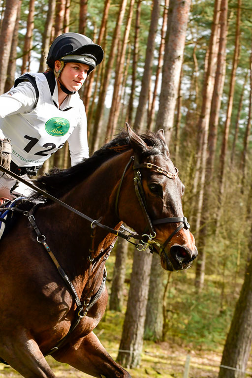 Luhmühlen CCI  26.3.2023 | 26032023 - XC  CCI3+ _184 