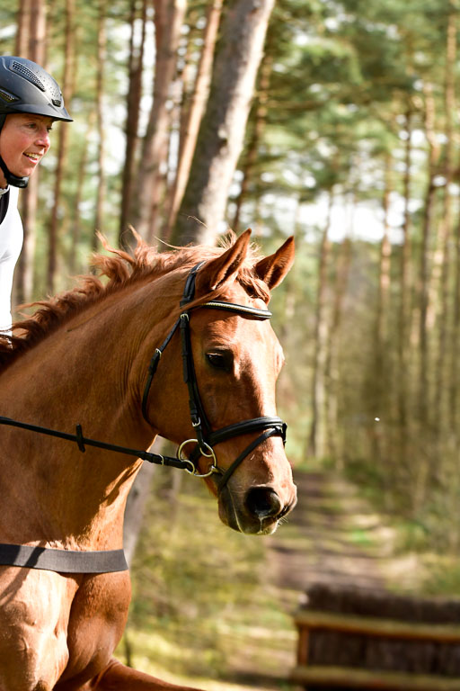 Luhmühlen CCI  26.3.2023 | 26032023 - XC  CCI3+ _257 