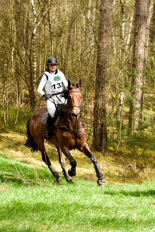 Luhmühlen CCI  26.3.2023 | 26032023 - XC  CCI3+ _270 
