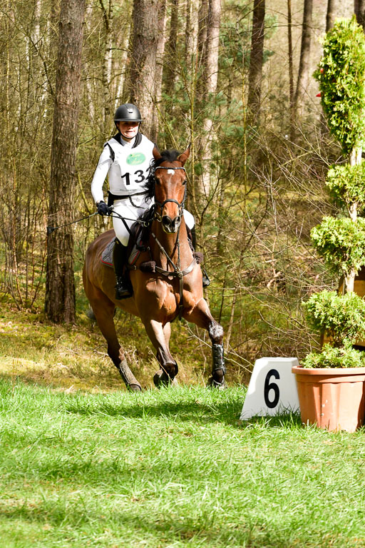 Luhmühlen CCI  26.3.2023 | 26032023 - XC  CCI3+ _271 