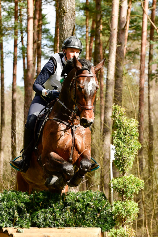 Luhmühlen CCI  26.3.2023 | 26032023 - XC  CCI3+ _290 