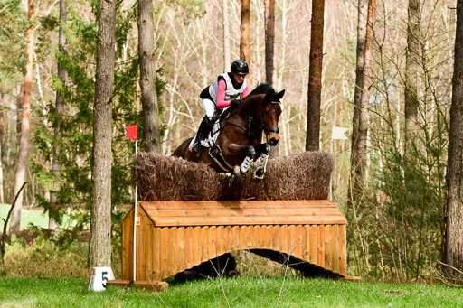 Luhmühlen CCI  26.3.2023 | 26032023 - XC  CCI3+ _293 