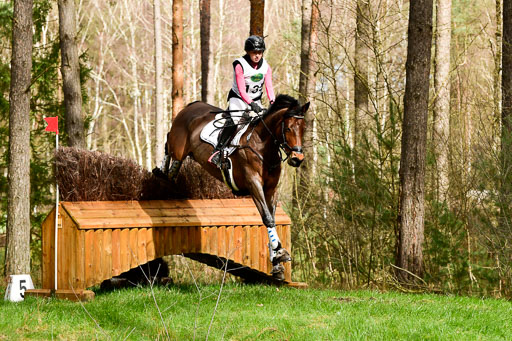 Luhmühlen CCI  26.3.2023 | 26032023 - XC  CCI3+ _295 