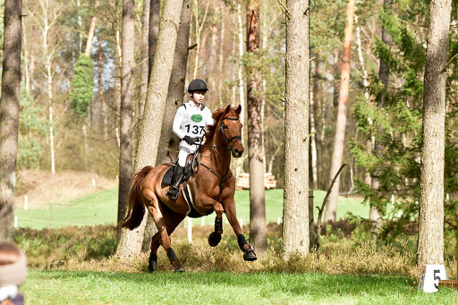 Luhmühlen CCI  26.3.2023 | 26032023 - XC  CCI3+ _315 