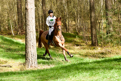 Luhmühlen CCI  26.3.2023 | 26032023 - XC  CCI3+ _323 
